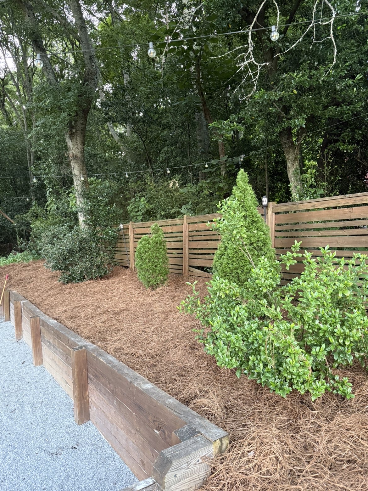 Fresh pine straw in a residential retaining bed by Tegrity Lawncare